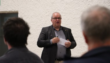 Bäume fällen bald nur mit Bewilligung erlaubt: Stadt startet in der Raumplanung grüne Offensive
