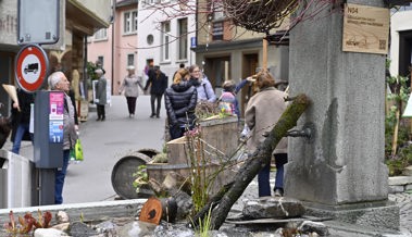 Die für Frühling 2023 angekündigte Gartenschau «Naturstadt» fällt aus