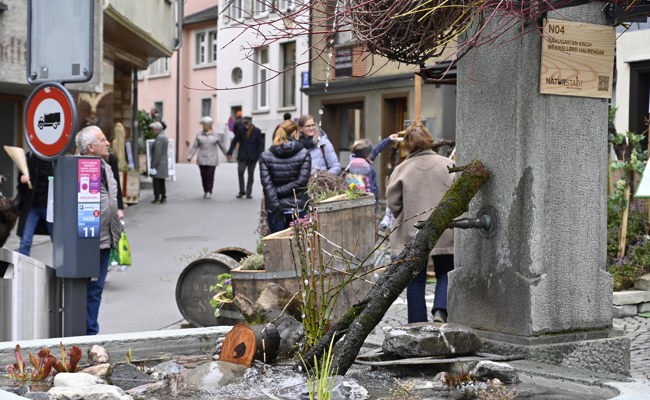 Die für Frühling 2023 angekündigte Gartenschau «Naturstadt» fällt aus