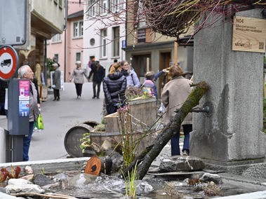 Die für Frühling 2023 angekündigte Gartenschau «Naturstadt» fällt aus
