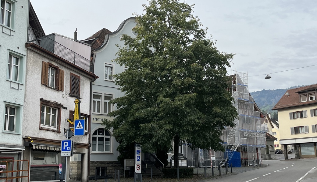 Heute steht ein grosser Baum vor dem ehemaligen Schelmenturm an der Trogenerstrasse, als schämte sich das Gebäude seiner unrühmlichen Vergangenheit.