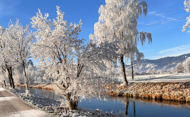 Eiskristalle glitzern in der Sonne: Der Neujahrsmorgen zeigte sich von seiner schönsten Seite
