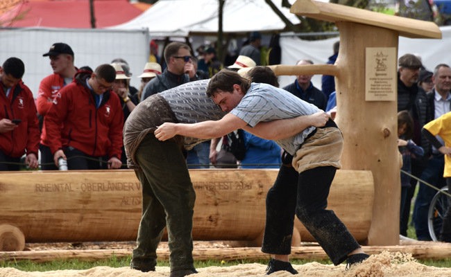 In Altstätten läuft das Rheintal-Oberländische Schwingfest: 42 Bilder