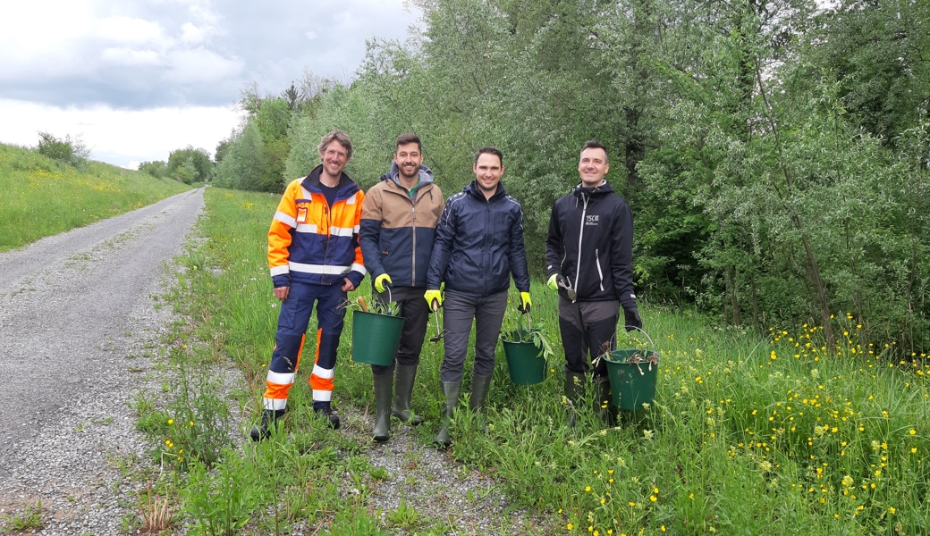 Simon Zünd (Fachmann Biodiversität / Neophyten), Damir Rajic, Stefan Schlegel, David Ruess (alles SGKB Diepoldsau)