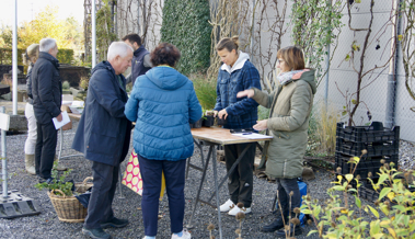 Bevölkerung setzte mehr als 900 Wildpflanzen