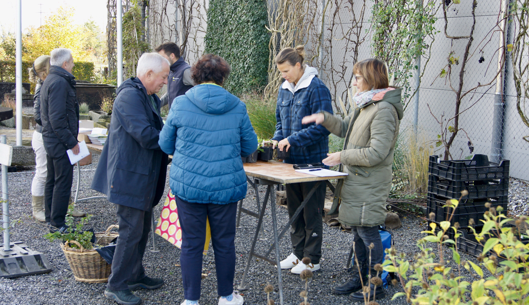 Um mehr Biodiversität in den Siedlungsraum zu bringen, kann jede und jeder etwas tun.