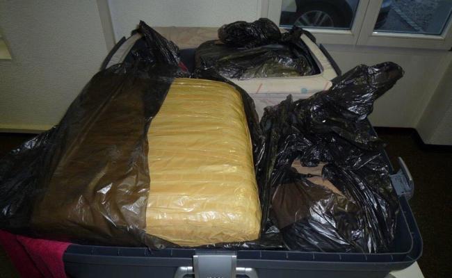 Drogenhund findet 14 Kilo Hasch