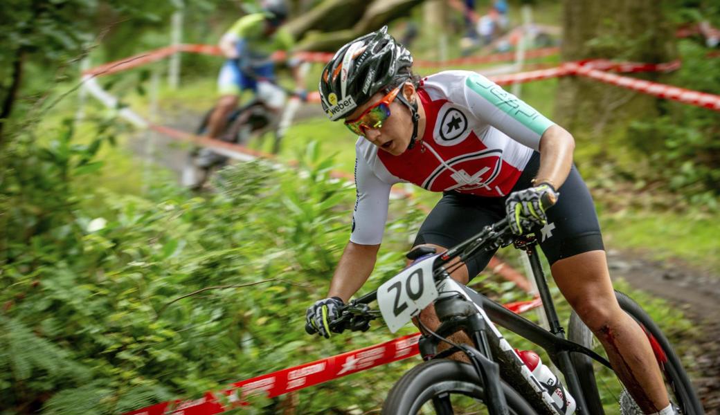 Über Stock und Stein: Mountainbike fahren im Wald ist zum Volkssport geworden.
