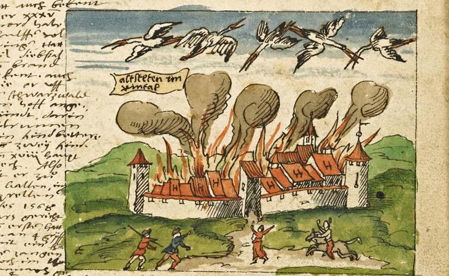 Störche als angebliche Pechboten