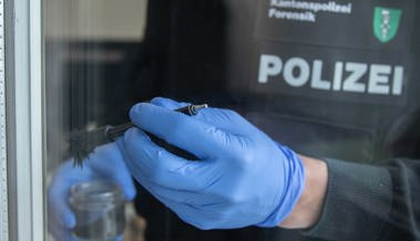 In drei Häuser eingebrochen – Uhren und Geld gestohlen