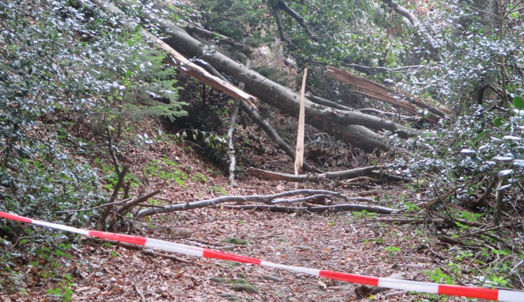 Viel Sturmholz verunmöglicht im Bereich Sonder das Durchkommen auf dem Wanderweg Walzenhausen-Oberegg-Berneck.