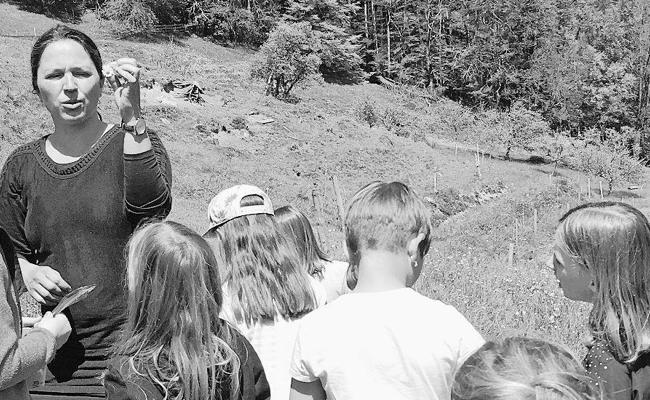 Wildkräutersalz selber herstellen