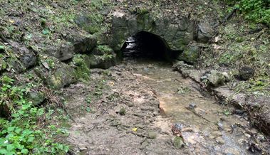 Ablagerungen im Groppenbach gefährden den Hochwasserschutz