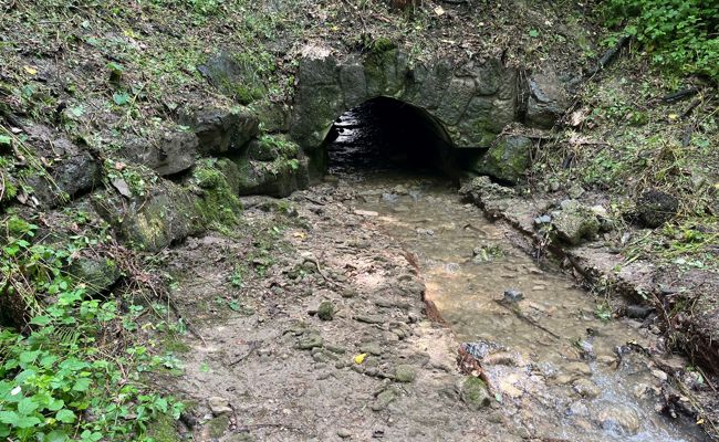 Ablagerungen im Groppenbach gefährden den Hochwasserschutz
