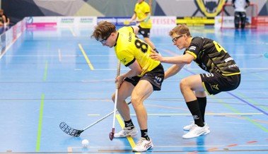 Eine 2:3-Niederlage und ein 7:3-Sieg für die Rheintal Gators