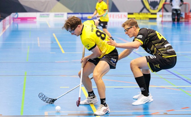 Eine 2:3-Niederlage und ein 7:3-Sieg für die Rheintal Gators