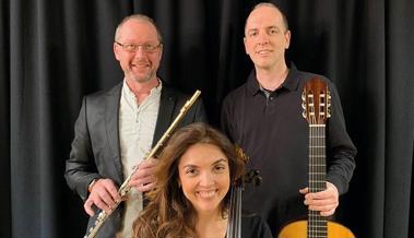 Musik aus Südamerika  auf Schloss Grünenstein