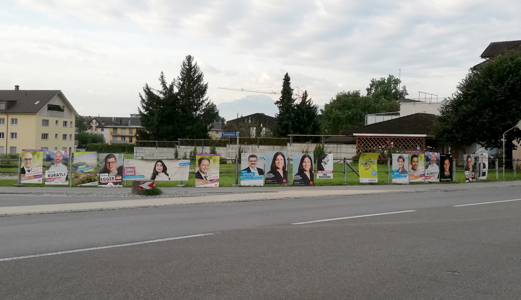 Einen Plakatwald wie hier 2019 in Balgach wollen in Diepoldsau nicht einmal die Kandidaten sehen. Einen Plakatwald wie hier 2019 in Balgach wollen in Diepoldsau nicht einmal die Kandidaten sehen.