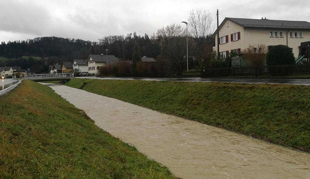 Hoch, braun, schnell: der Littenbach in Berneck.