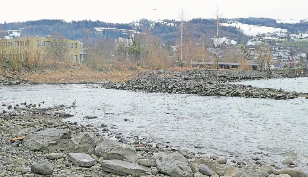 Durch einen Erdwall geschützt können sich im neu erweiterten Gewässerarm Tier und Pflanzen ansiedeln, die auf ruhiges Gewässer angewiesen sind und die Natur bereichern.  Bilder: Kurt Latzer