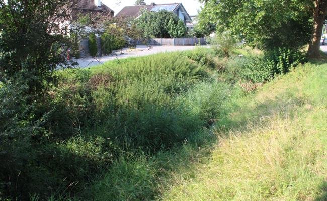 Die Natur geht «klinischer Sauberkeit» vor
