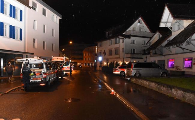 Wegen Hund auf die Strasse gelaufen
