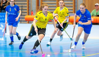 Zwei weitere Siege und Tabellenführung für die Gators-Frauen