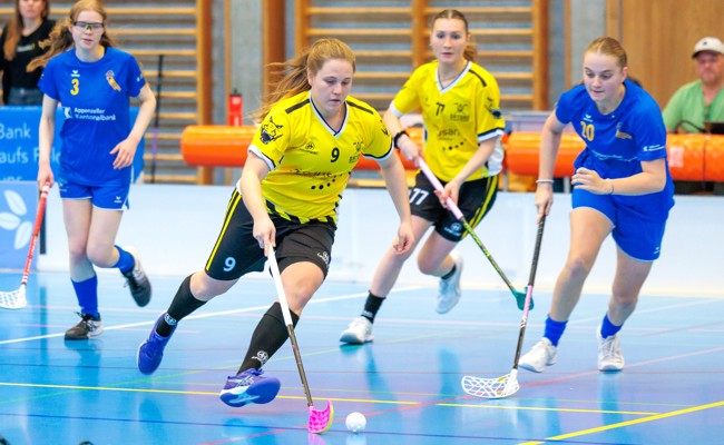 Zwei weitere Siege und Tabellenführung für die Gators-Frauen