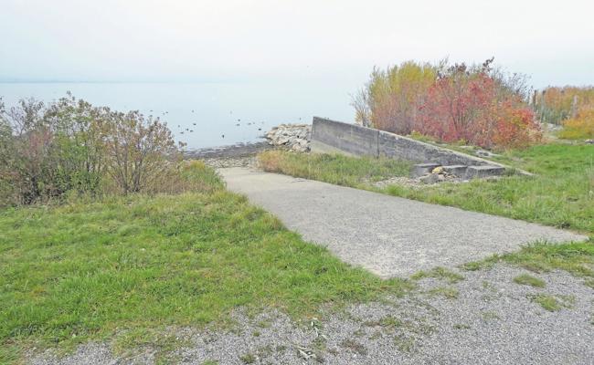 Pferde sollen Badegäste nicht mehr stören