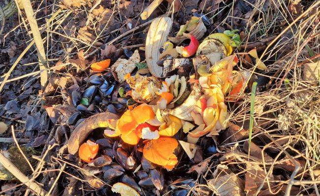Abfallhaufen im Hundeparadies