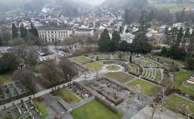 Friedhöfe verbinden Tod und Leben – persönliche Geschichten der Redaktion zum Totengedenken