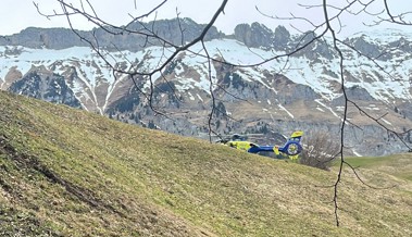 Arbeit mit Bäumen hat gleich zweimal schwere Folgen - ein 53-Jähriger stirbt
