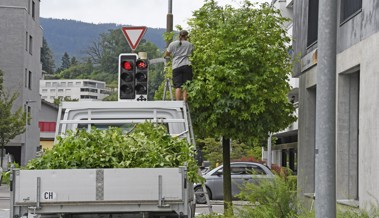 Das ging aber fix: Ampel an der Kreuzung beim Bahnhof in Heerbrugg wurde freigelegt Das ging aber fix: Ampel an der Kreuzung beim Bahnhof in Heerbrugg wurde freigelegt