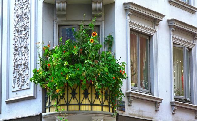 Du brauchst ein neues Hobby? Probier’s mit Urban Gardening!