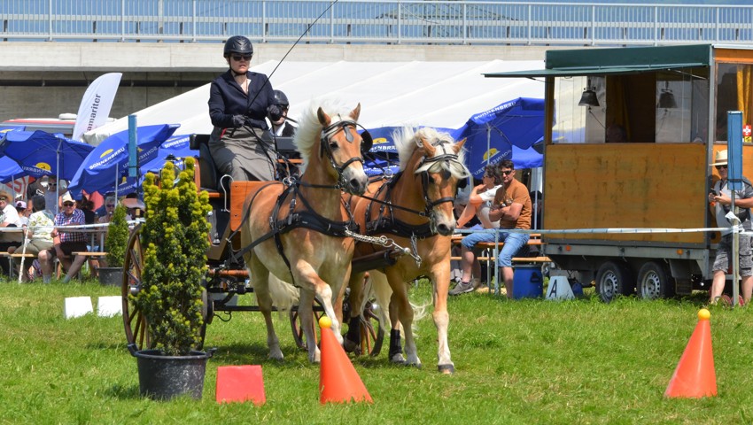 Bettina Baumgärtner mit Artus und Nosef von der siegreichen Bündner Equipe. Bettina Baumgärtner mit Artus und Nosef von der siegreichen Bündner Equipe.