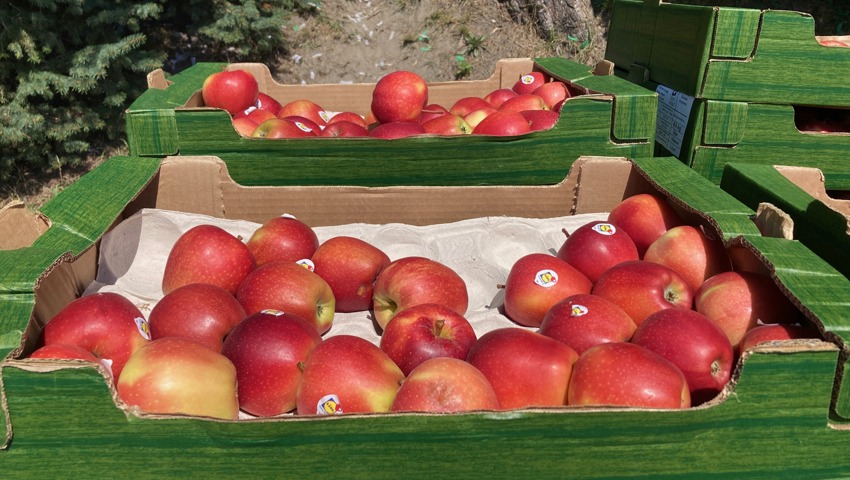 Live-Ticker: FC Widnau - FC St.Gallen 1879 Live-Ticker: FC Widnau - FC St.Gallen 1879