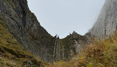 Zwischen Nebel, Nervosität und steilen Felswänden: Auf Steinbock-Jagd im Alpstein Zwischen Nebel, Nervosität und steilen Felswänden: Auf Steinbock-Jagd im Alpstein