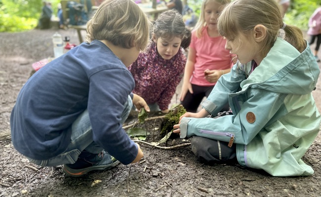 Zecken breiten sich immer weiter aus: Das empfehlen Fachpersonen