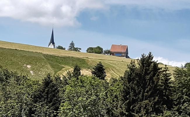 Fünf Neumitglieder für den Gewerbeverein