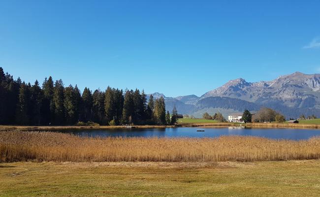 Therapie gegen trübe Tage
