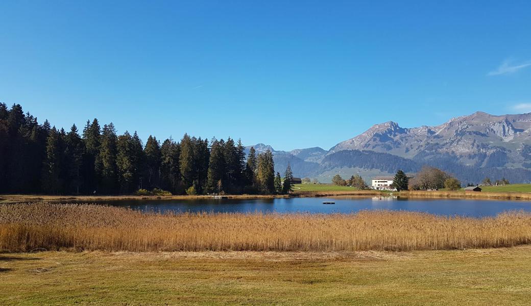 Edit Krall fotografierte bei besten Bedingungen am Schwendisee in Wildhaus.