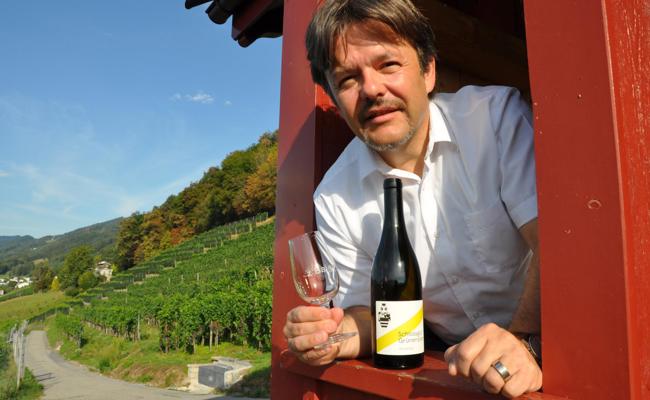 Schaufenster für heimische Weine