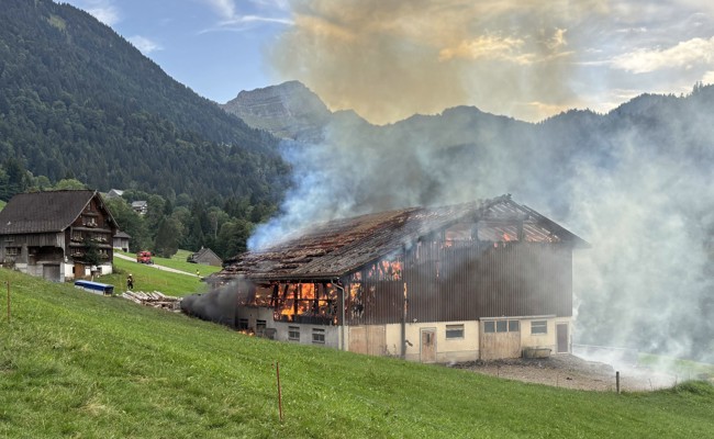 Viehscheune im Toggenburg nach Blitzschlag in Vollbrand – Schweine gerettet