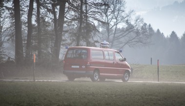 Mehr Sirenen auf Autos als Dächern und weshalb diese stumm bleiben