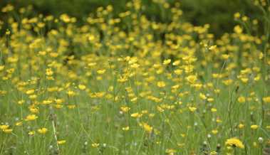 Zum Fest der Auferstehung: Ostern kann das Herz und das Gemüt tief bewegen Zum Fest der Auferstehung: Ostern kann das Herz und das Gemüt tief bewegen