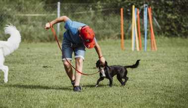 Der Hundesportverein Hirschensprung feiert 60-jähriges Bestehen – ein Event voller Sport und Spass