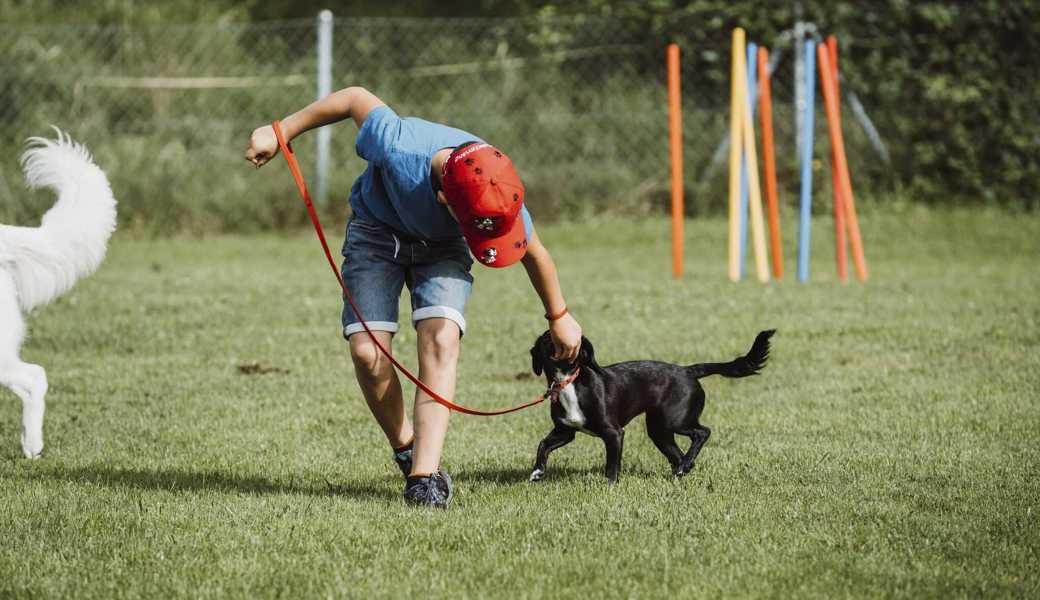 Seit 60 Jahren gibt’s Hundesport am Hirschensprung. 