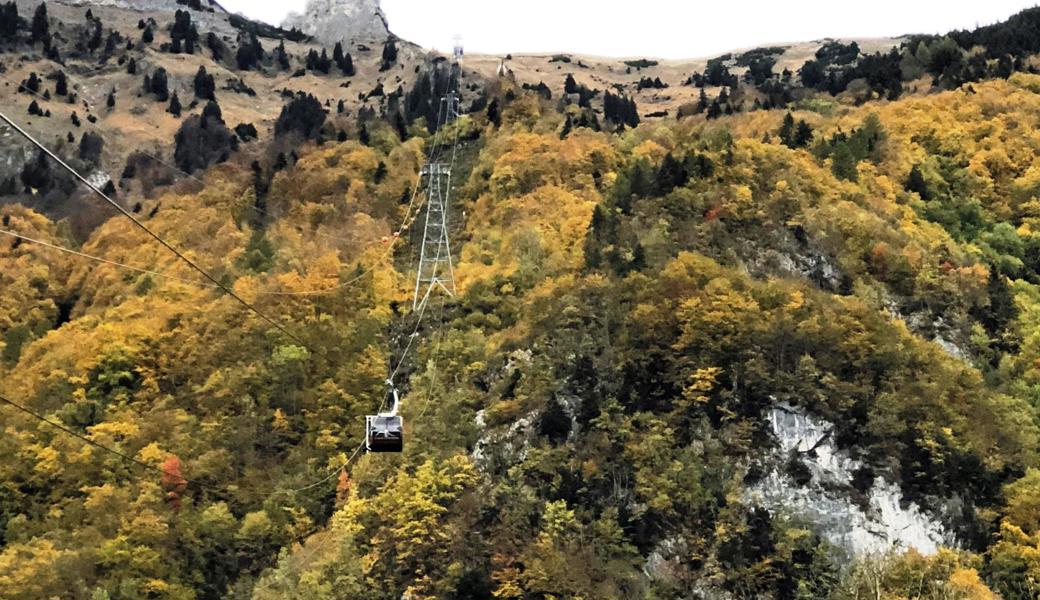 Die Seilbahn, die im April feierlich eingeweiht wurde, stoppte auf dem Weg von Frümsen zur Bergstation.