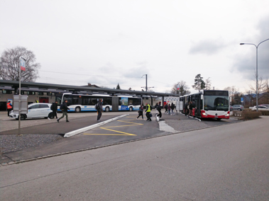 Ersatzbus nicht verspätet, aber falsch abgebogen