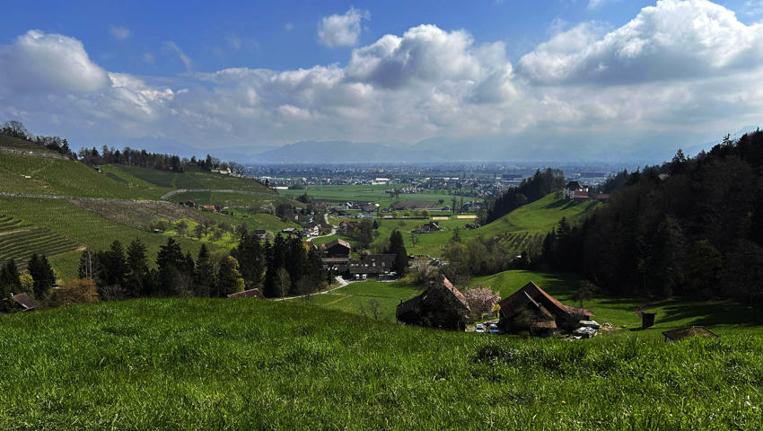 Blick vom Rheintaler Höhenweg in Berneck. Blick vom Rheintaler Höhenweg in Berneck.